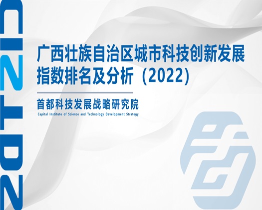 骚逼被c到尖叫【成果发布】广西壮族自治区城市科技创新发展指数排名及分析（2022）